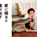 家に帰ると妻が必ず死んだふりをしています。映画フル無料視聴【妻ふり】